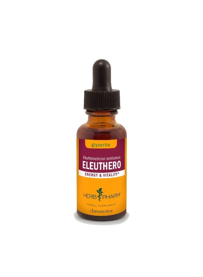 HERB PHARM Eleuthero Root Liquid Glycerite for Energy and Stamina, Alcohol-Free Glycerite, 1 Fl Oz - Image 1